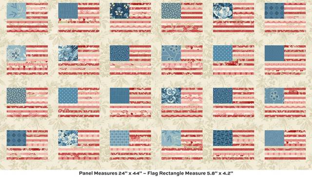 Stars and Stripes Panel - Multi