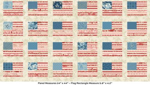 Stars and Stripes Panel - Multi