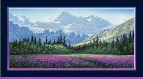 Aurora's Passage Field of Dreams Panel 24"x44"