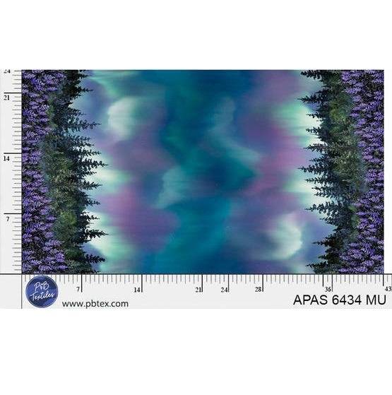 Aurora's Passage Northern Lights Double Border