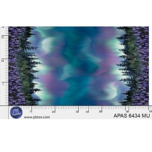 Aurora's Passage Northern Lights Double Border