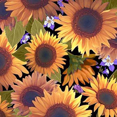 Mountains Are Calling Sunflowers Black