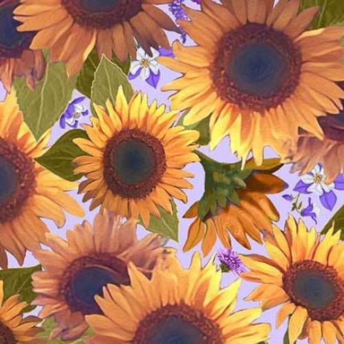 Mountains Are Calling Sunflowers Lilac