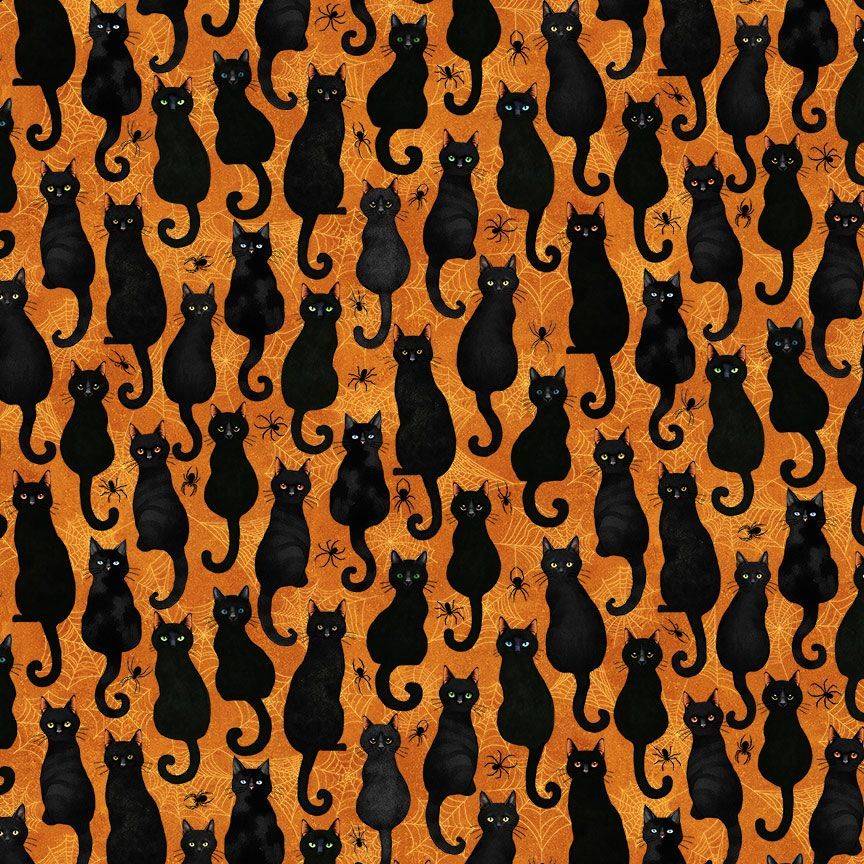 Scaredy Cats Black Cats & Spiders - Orange