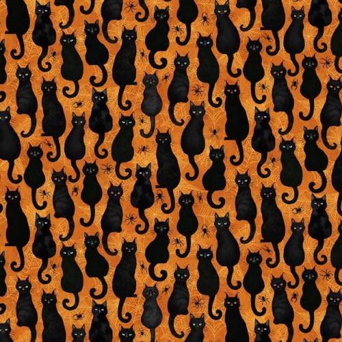 Scaredy Cats Black Cats & Spiders - Orange