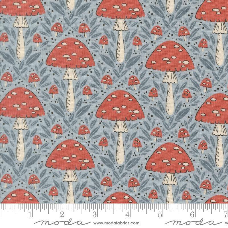 Nature's Sketchbook Mushroom -  Sky