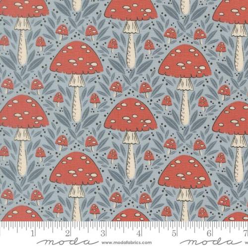 Nature's Sketchbook Mushroom - Sky