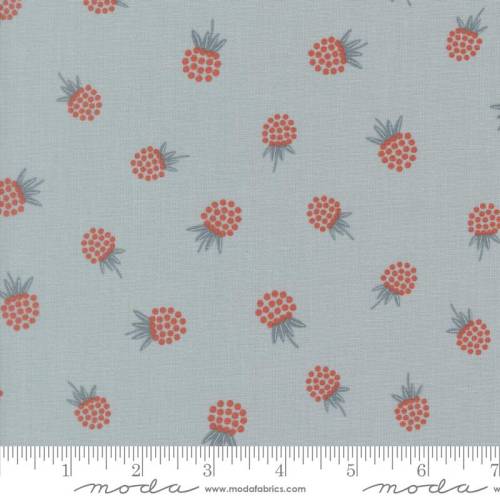 Nature's Sketchbook Berries - Sky