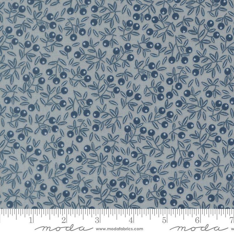 Nature's Sketchbook Blueberry - Pebbley Sky