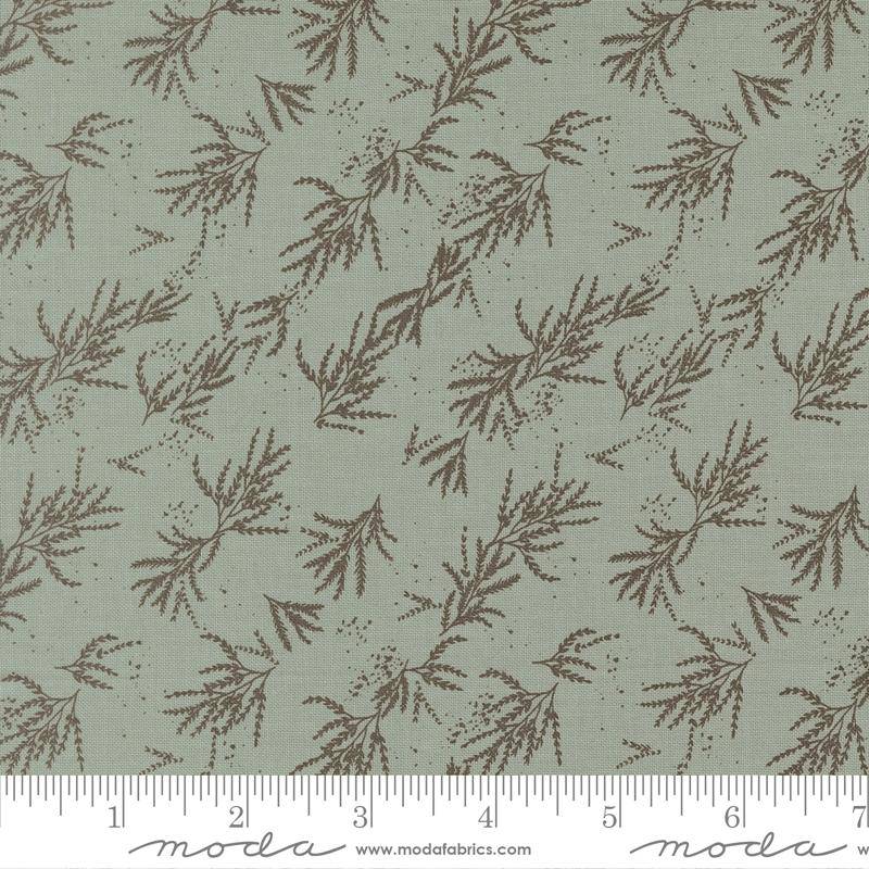 Wellspring Branches - Storm