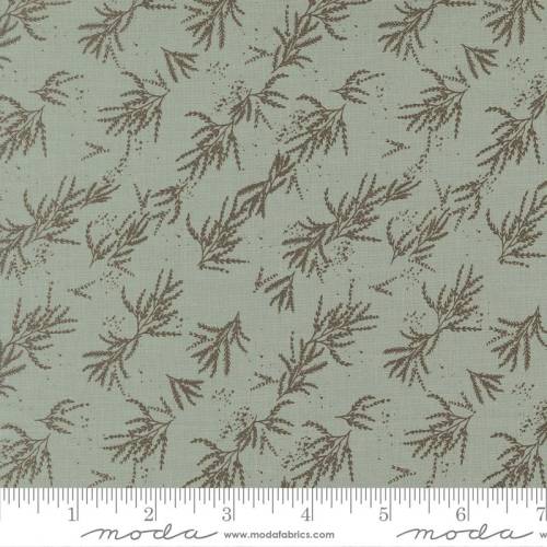 Wellspring Branches - Storm