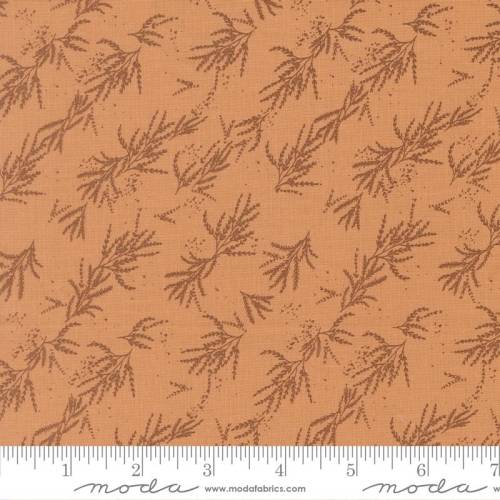 Wellspring Branches - Coral Seashell