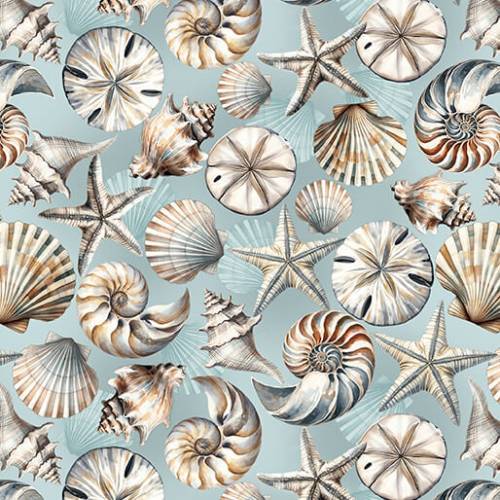 Coastal Escape Coastal Shells - Ocean