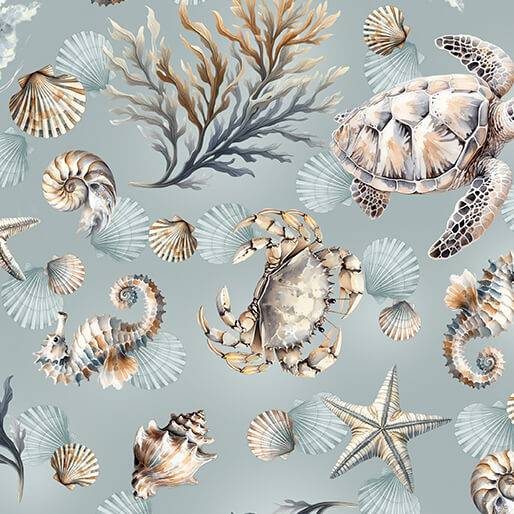 Coastal Escape Marine Life - Ocean
