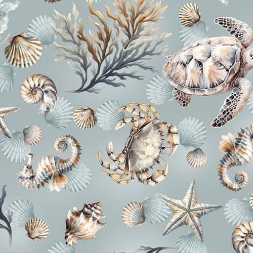 Coastal Escape Marine Life - Ocean