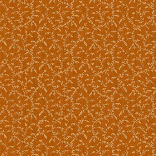 Midnight Cheddar Climbing Vine - Cheddar