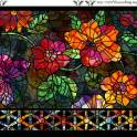 Dear Clara Black Border image 1