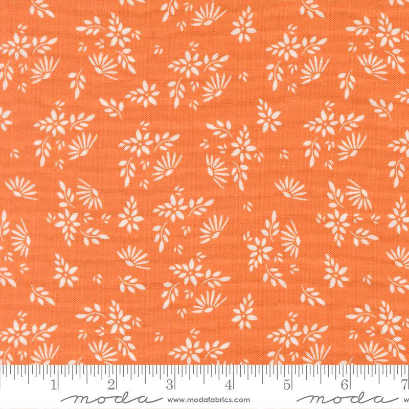 Birch & Willow Flora - Pumpkin