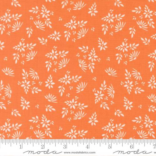 Birch & Willow Flora - Pumpkin