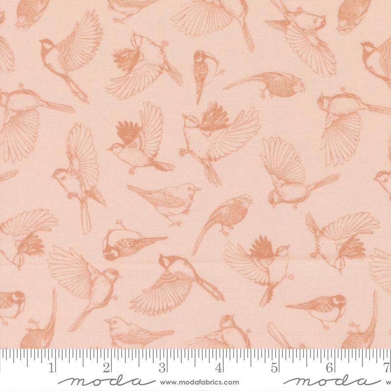 Feather and Forest Bloom Flock of Feathers - Petal