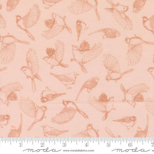 Feather and Forest Bloom Flock of Feathers - Petal