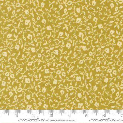 Sitara Affinity - Pesto