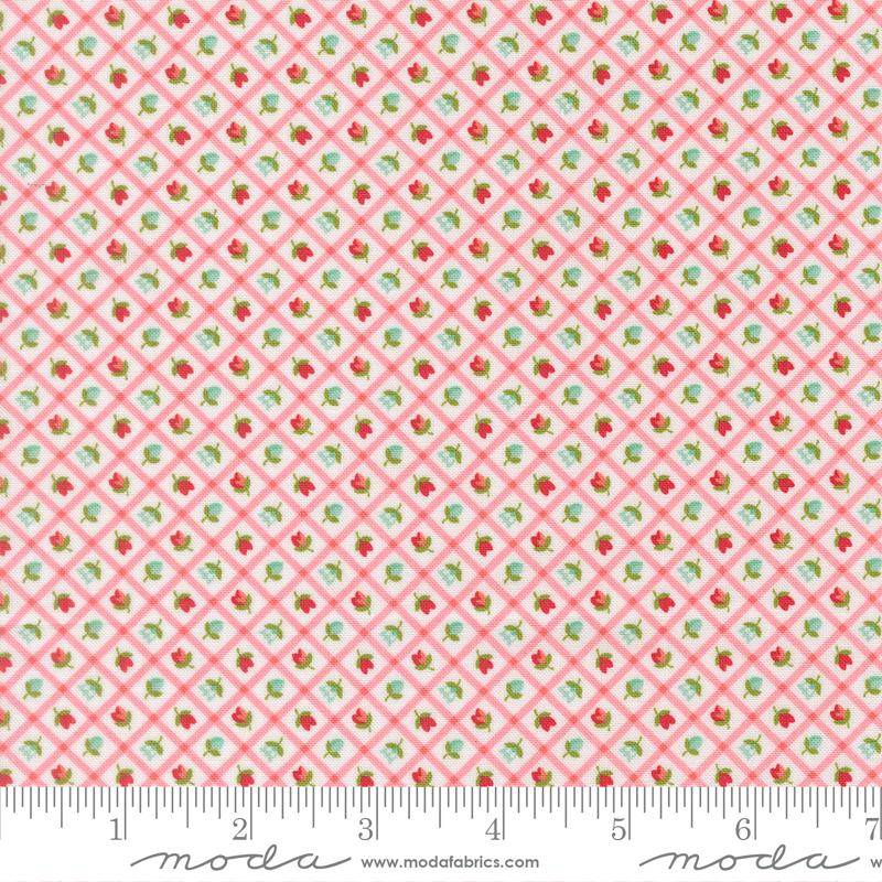 Bloomsberry Checks and Plaids Flower - Blush