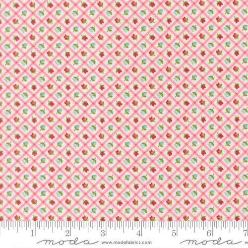 Bloomsberry Checks and Plaids Flower - Blush