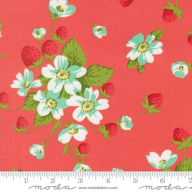 Bloomsberry In Bloom - Nantucket Red