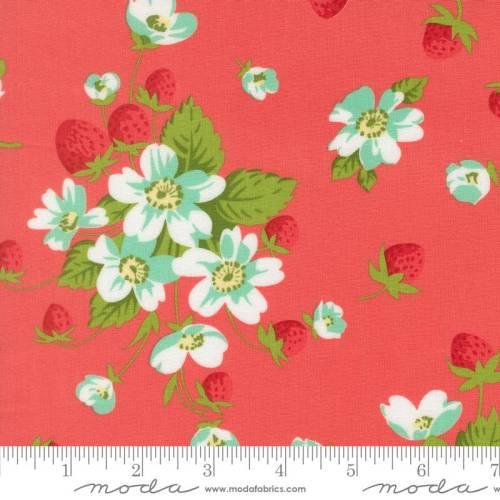 Bloomsberry In Bloom - Nantucket Red