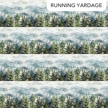 Altitude Border Stripe - Blue/Multi