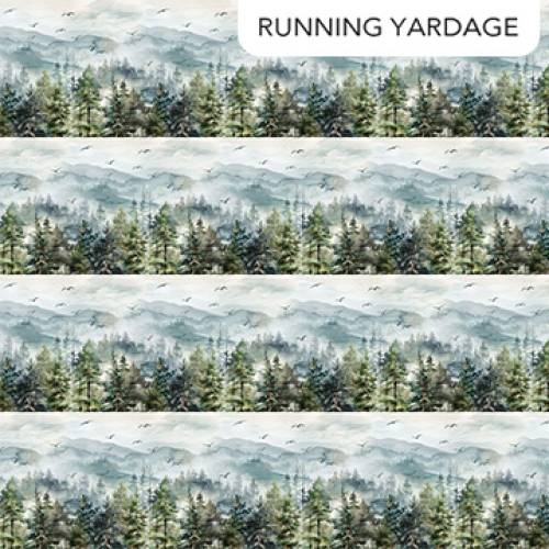 Altitude Border Stripe - Blue/Multi