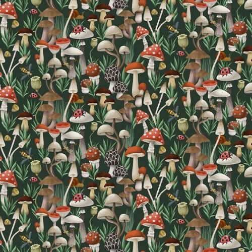 Moth To A Flame The Fungi Kingdom - Forest
