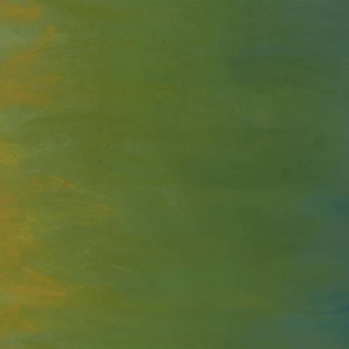 Sky Essence Kelp