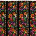 Dear Clara Black Border image 2