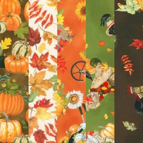 Autumn Cats and Dogs