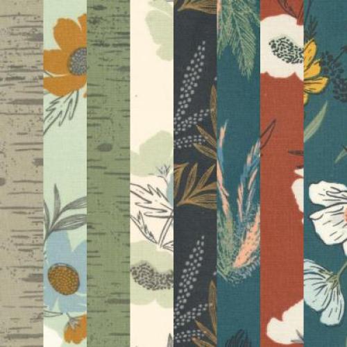 Woodland & Wildflowers