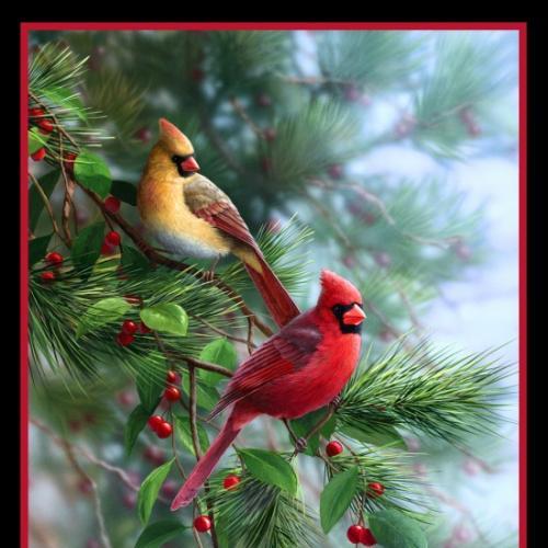 Birds & Berries