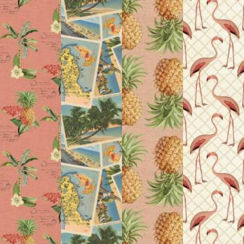 Palm Paradise